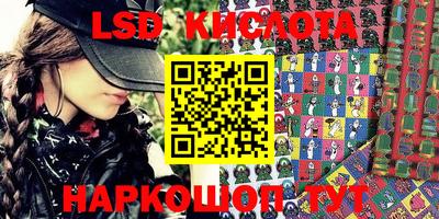 a pvp Новодвинск