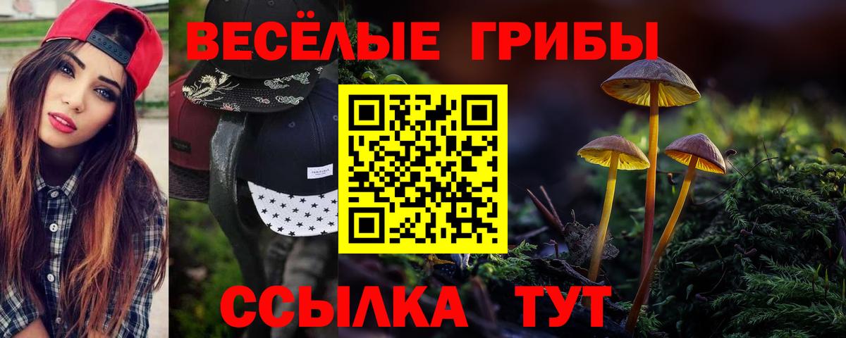 Псилоцибиновые грибы MAGIC MUSHROOMS  Вход с VPN  Тосно  Псилоцибиновые грибы Psilocybe 